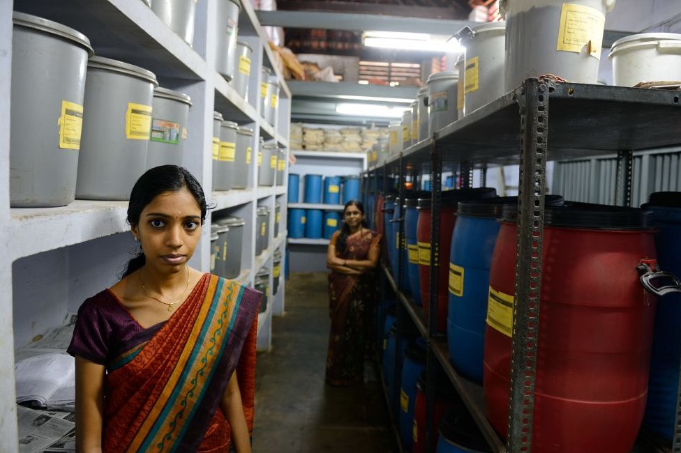 Women in a retreat that prepares massage oils in Kerala