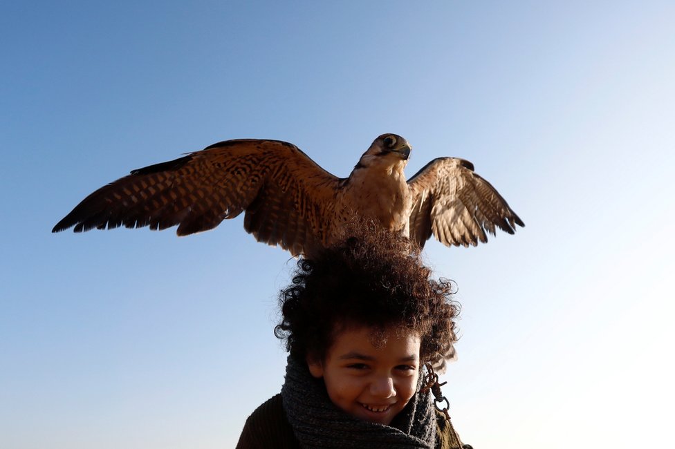 Ammar, 11, a member of EGY Falconer Club plays with his falcon 