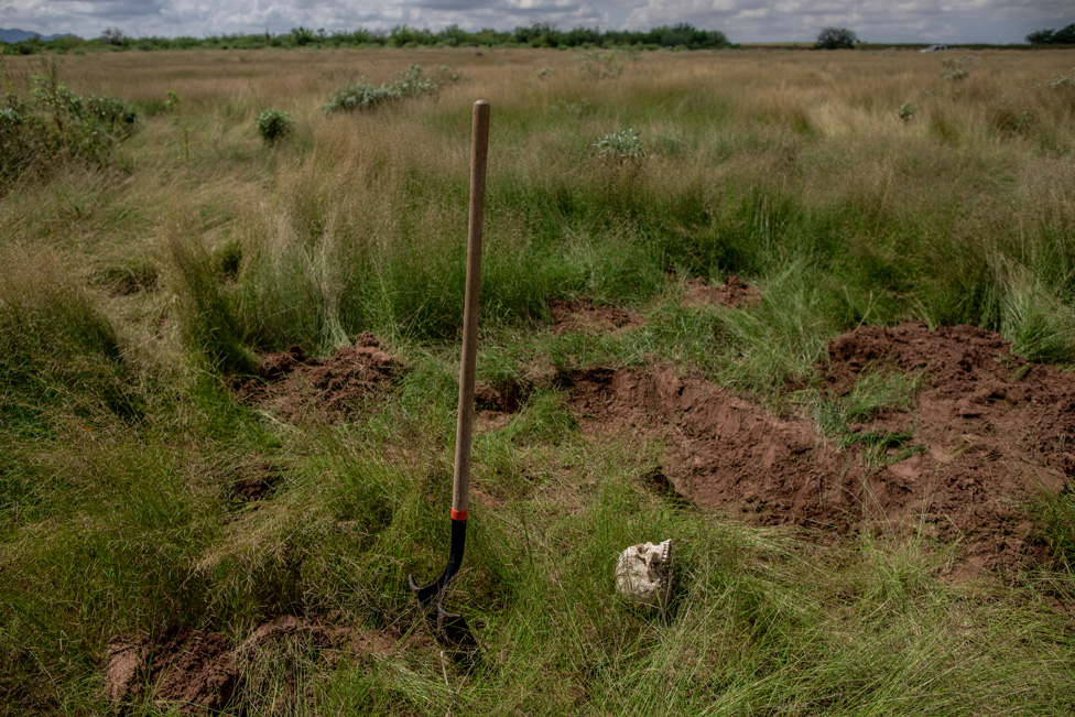 An unidentified skull of a suspected murder victim, found by the Searchers