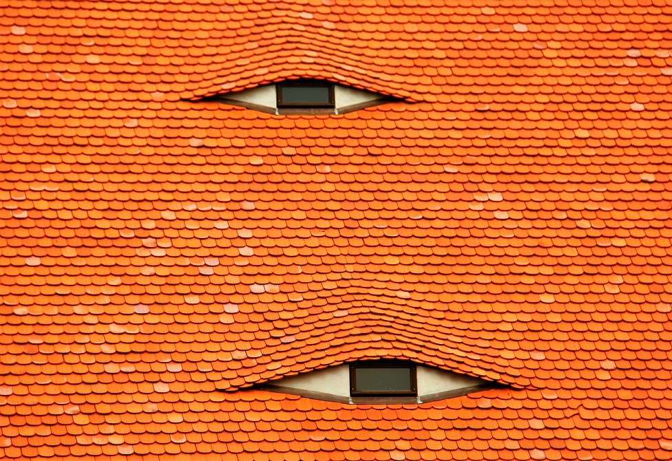 A slated roof with two windows looking like eyes