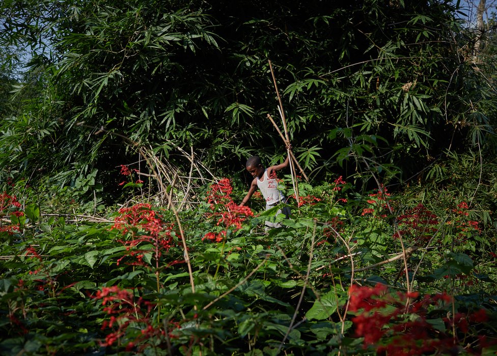 Jose in the forest