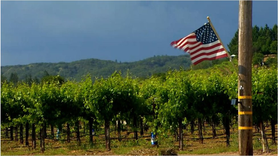 US flag over wine country