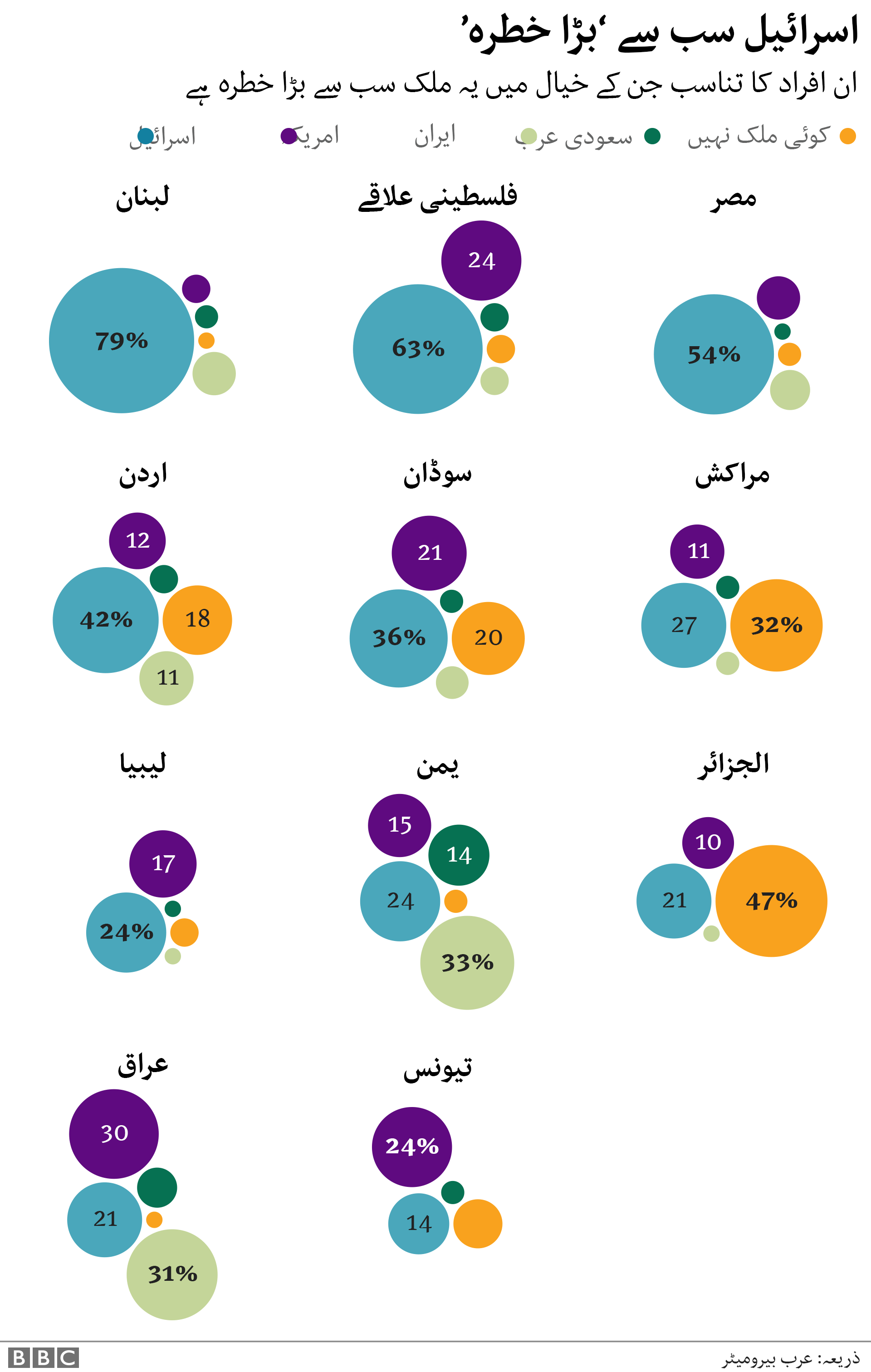 عرب سروے