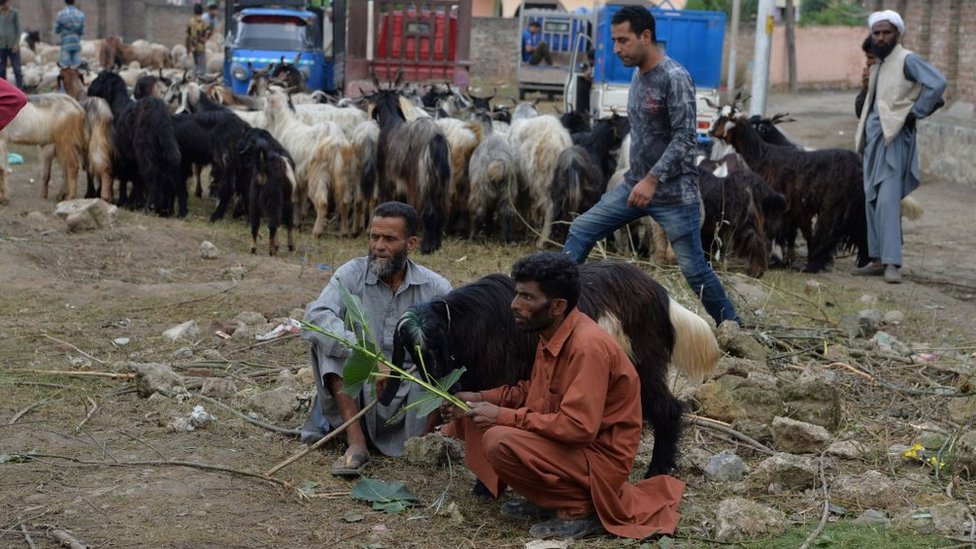 کشمیر