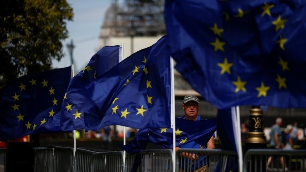 Anti-Brexit protest with EU flags