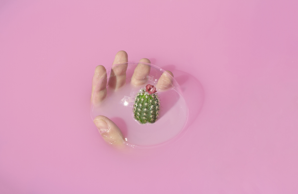 Bubble, hand and cactus