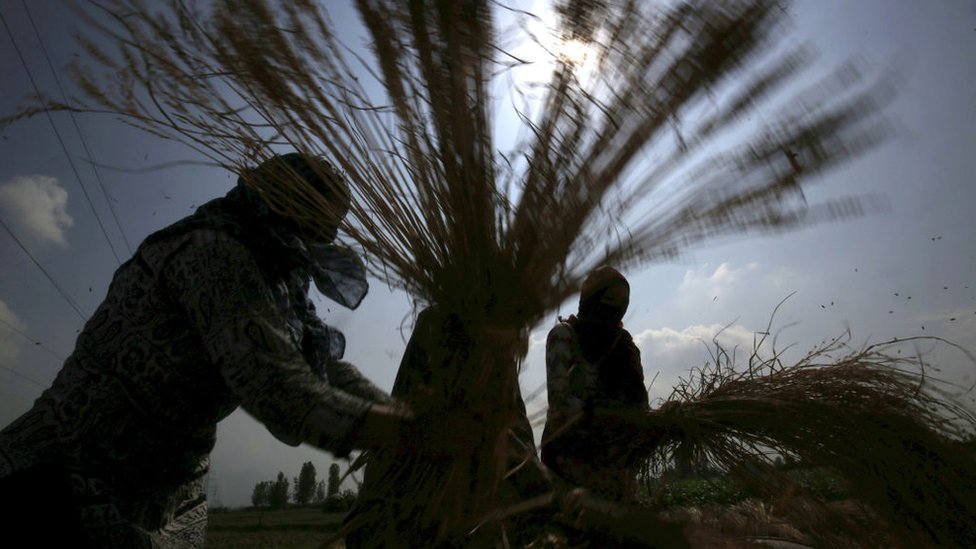 سری نگر