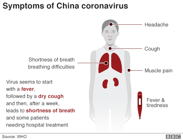 Infographic showing the symptoms of the coronavirus