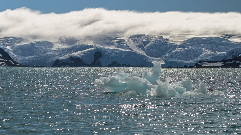 Martel Cove with the Antarctic landscape in the background