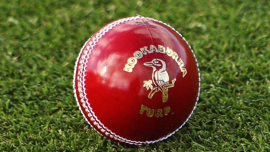 Cricket ball