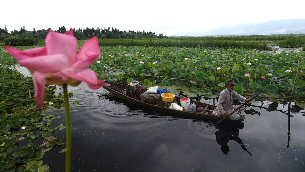 کشمیر