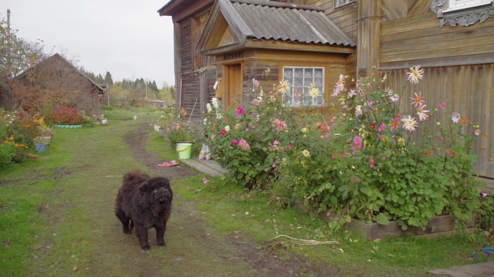 A dog outside a house in a rural Russian village