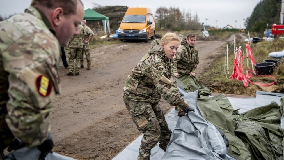 Members of Danish health authorities assisted by members of the Danish Armed Forces dispose dead mink in a military area near Holstebro in Denmark, 09 November 2020