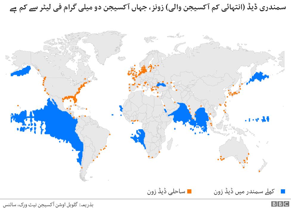 کاشتکاری