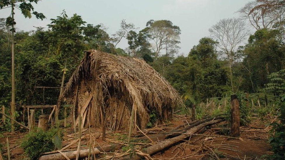 A straw house known as a 