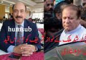 فلیگ شپ ریفرنس میں نواز شریف بری، العزیزیہ میں 7 سال قید کی سزا