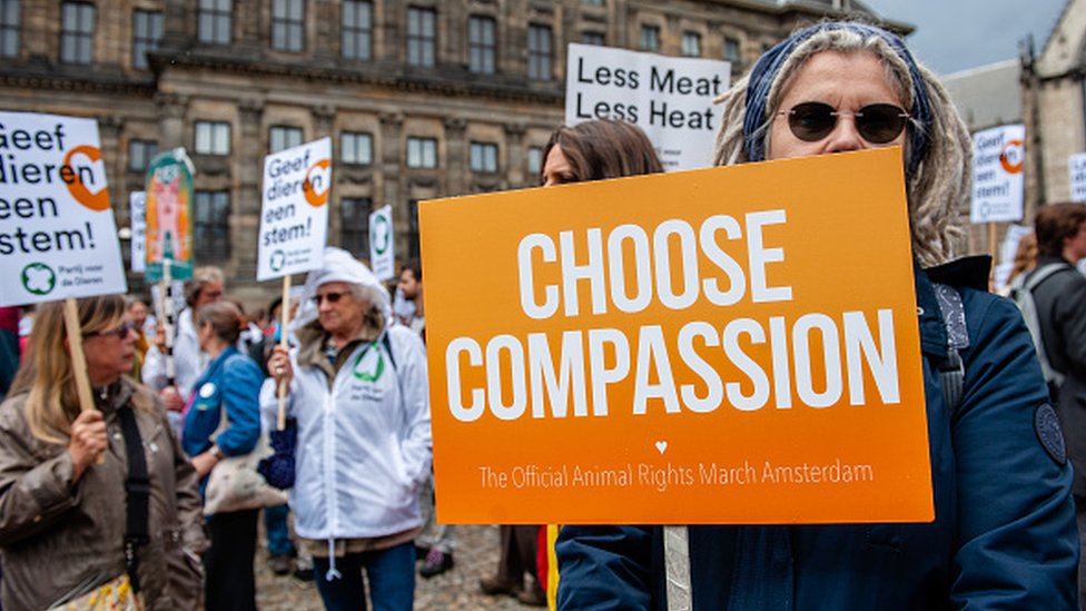 A protest by animal welfare activists in Holland