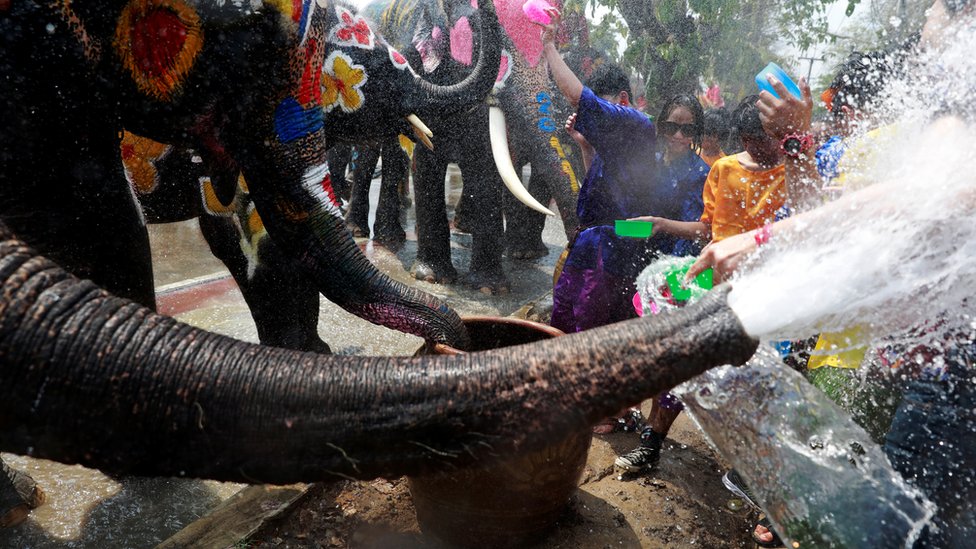 Elephants and people play with water during the Songkran water festival