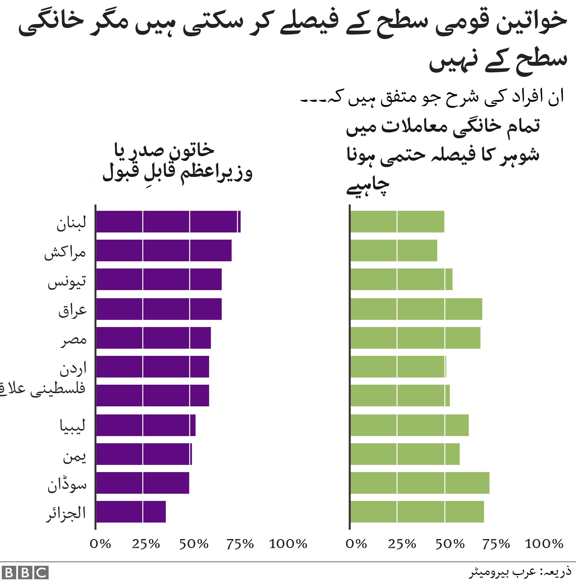 عرب سروے