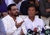 عامر لیاقت ایک بار پھر عمران خان پر برس پڑے