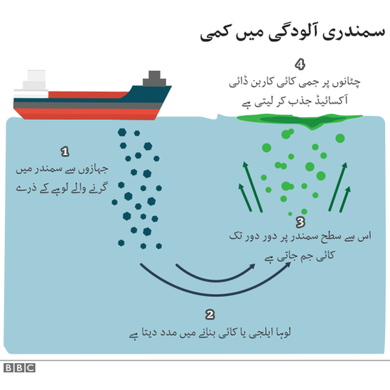 بی بی سی