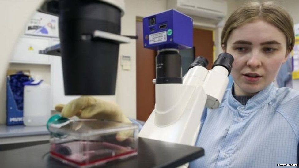 Female scientist examining a sample on the microscope