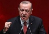 سلطنت عثمانیہ: کیا ترکی اپنے ’اسلامی عہد زریں‘ کی تاریخ دہرانے کی کوشش کر رہا ہے؟