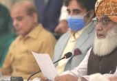 پی ڈی ایم کی حکومت مخالف تحریک: کیا اپوزیشن کے استعفے حکومت کو کوئی نقصان پہنچا پائیں گے؟