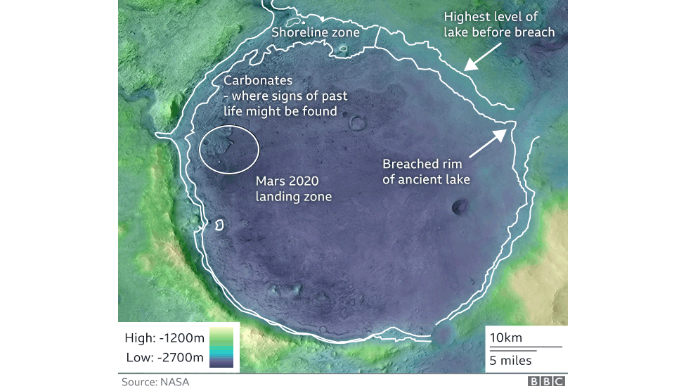 Infographic