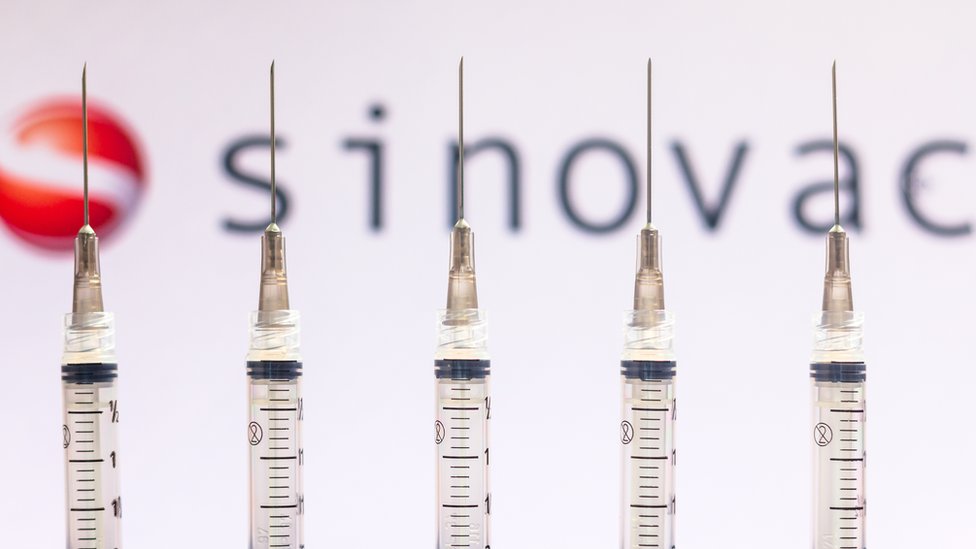 Various medical syringes seen with Sinovac Biotech company logo displayed on a screen in the background.