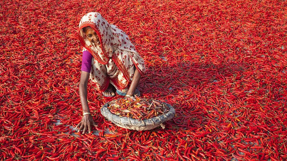 بنگلہ دیش سرخ مرچ