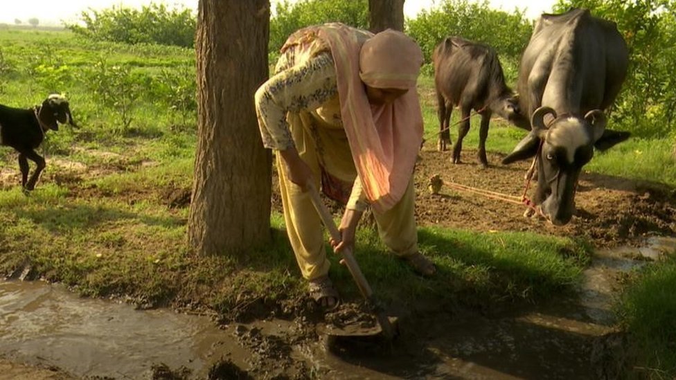 حلیمہ بی بی