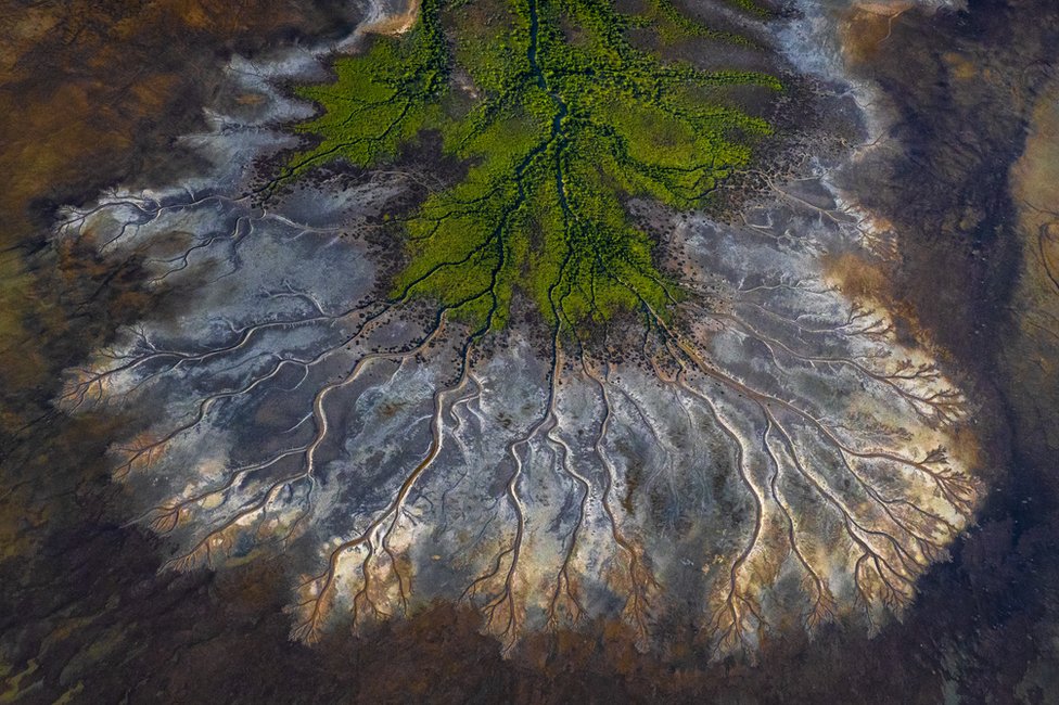 An aerial photo of rivers and streams in the Gulf of Carpentaria, Australia