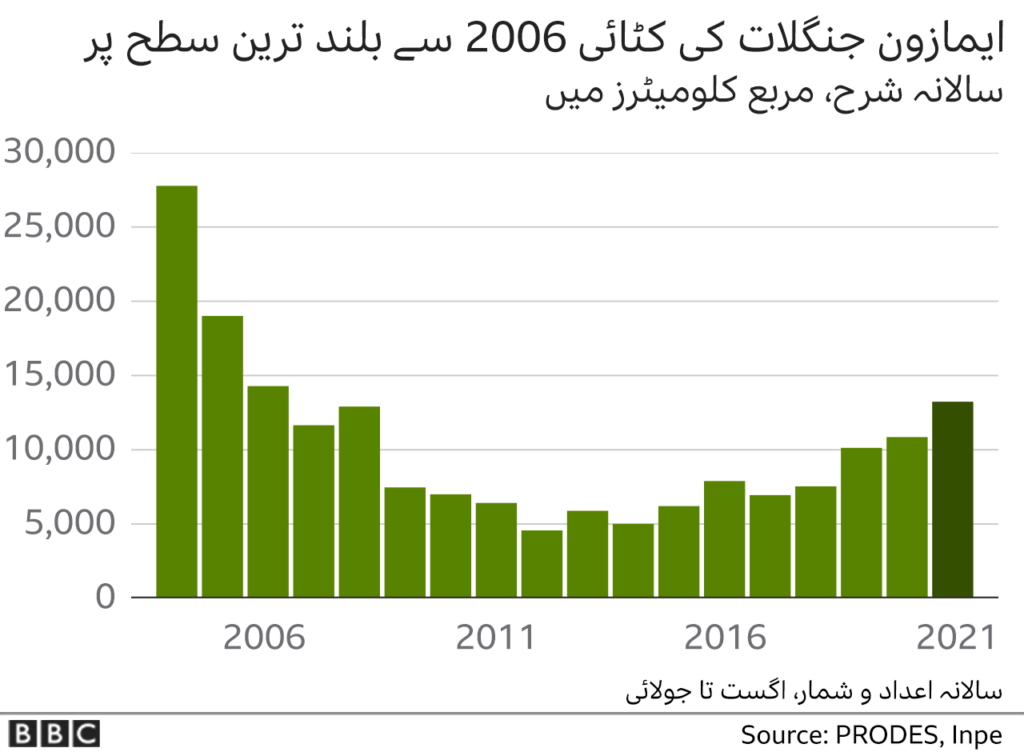 ایمازون