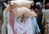 پاکستان میں گندم کی کم پیداوار، کیا درآمدی گندم سے آٹے کی قیمت بڑھ جائے گی؟