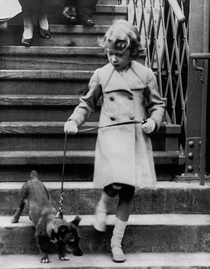 Princess Elizabeth pictured walking down stairs at Glamis Station with a small Pembroke Corgi - Dookie