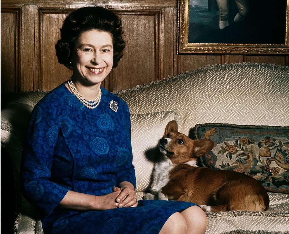 Queen Elizabeth II with one of her corgis at Sandringham, 1970