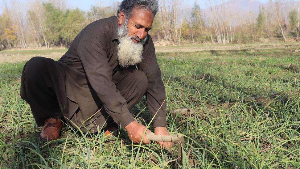 سوات ایکسپریس وے