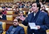 پنجاب میں وزیرِاعلٰی پر اعتماد کے ووٹ میں پی ٹی آئی کی کامیابی: ٹال مٹول سے اعتماد کے ووٹ کے درمیان کیا بدلا؟