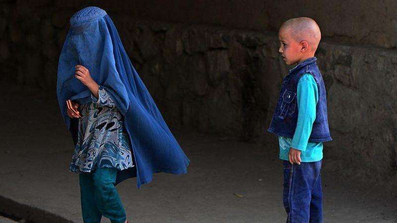 نیلوفر ایوبی