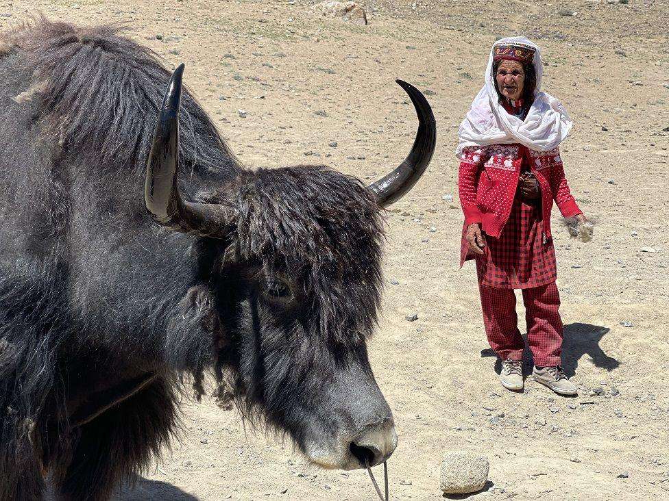 پامیر