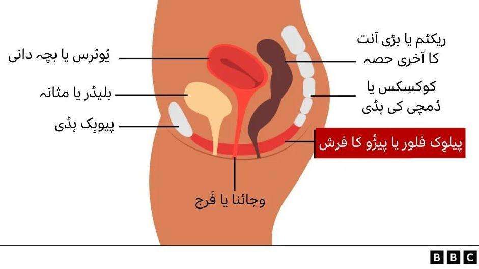 پیلوِس