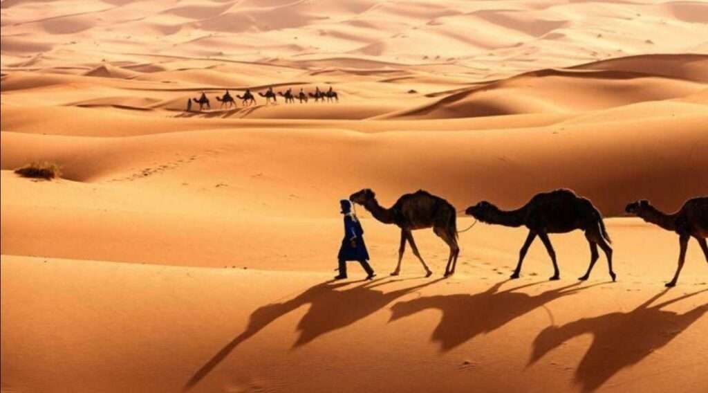 سعودی عرب
